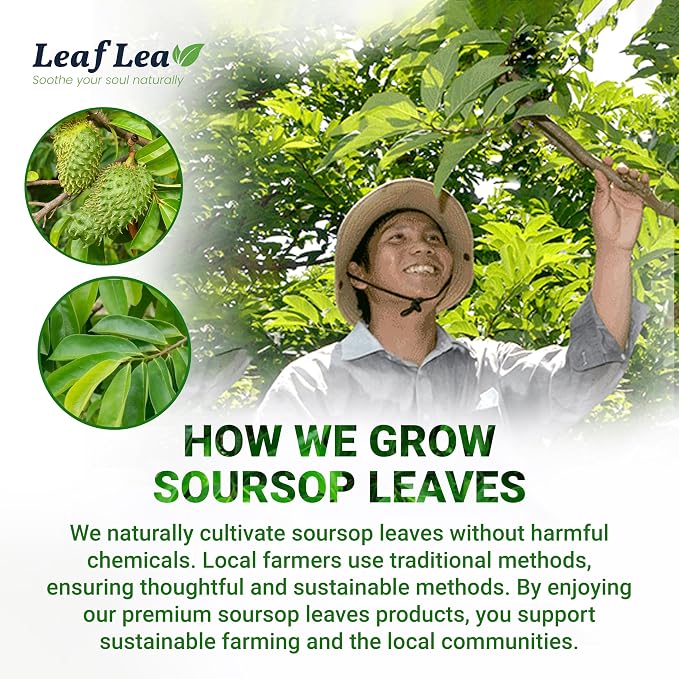 LeafLea 160 Premium Soursop Tea Bags, Natural & Pure Soursop Graviola Tea Leave, Hoja Guanabana Leaf Herbal Tea Bags Variety Pack of 4, Digestive Support, Nutrient-Rich, Vegan, Sugar/Caffeine Free