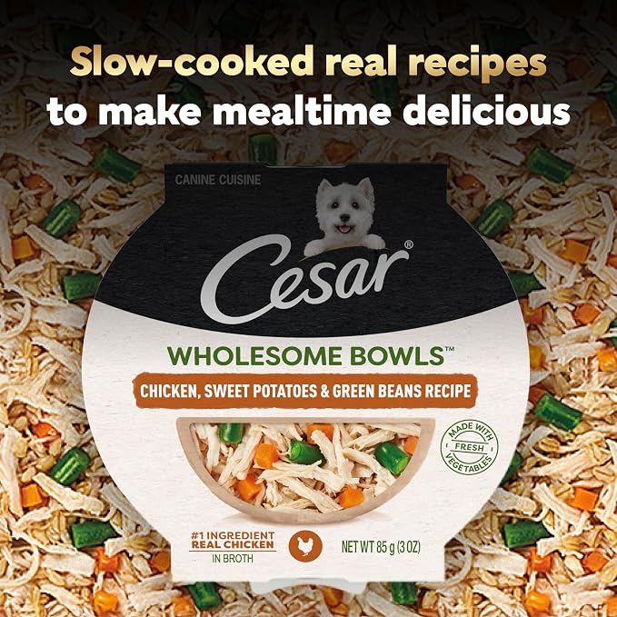 Cesar Wholesome Bowls Wet Dog Food, Chicken & Sweet Potato, 3 oz, 10 Count | Sweet Potato & Green Beans Recipe, real chicken #1 ingredient, slow-cooked, easy to digest, ready-to-serve bowl