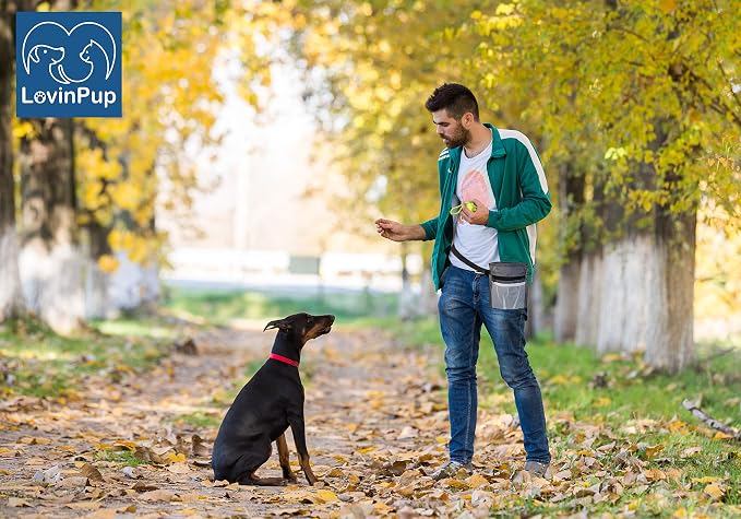 Dog Treat Training Pouch – Hands-Free, Poop Bag Dispenser (11x7.5)