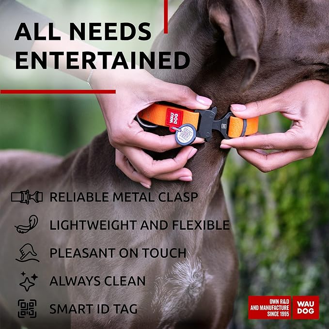 WAUDOG Waterproof Dog Collar Airtag Holder QR Tag Small Medium Large Dogs | Water and Dirt Resistant, Quick Dry QR Pet Tag Adjustable Durable Comfort for Male and Female Dogs Outdoor Walking Training