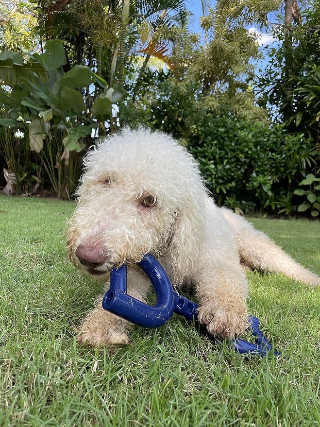 SuperChewer Tough Tug Pull Toy | Lifetime Replacement | Strong Natural Rubber | Interactive Tug-of-War Toy for Dogs | Ultra Durable Chew Toys for Aggressive Chewers | For Medium & Large Breeds