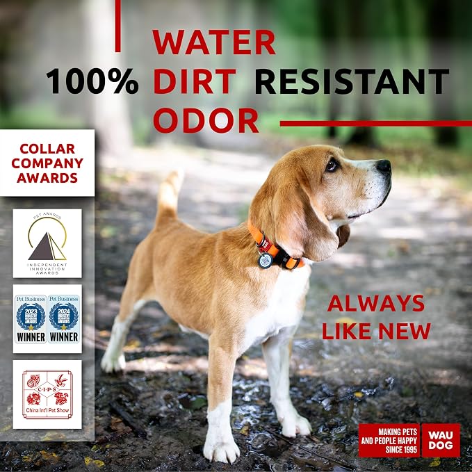 WAUDOG Waterproof Dog Collar Airtag Holder QR Tag Small Medium Large Dogs | Water and Dirt Resistant, Quick Dry QR Pet Tag Adjustable Durable Comfort for Male and Female Dogs Outdoor Walking Training