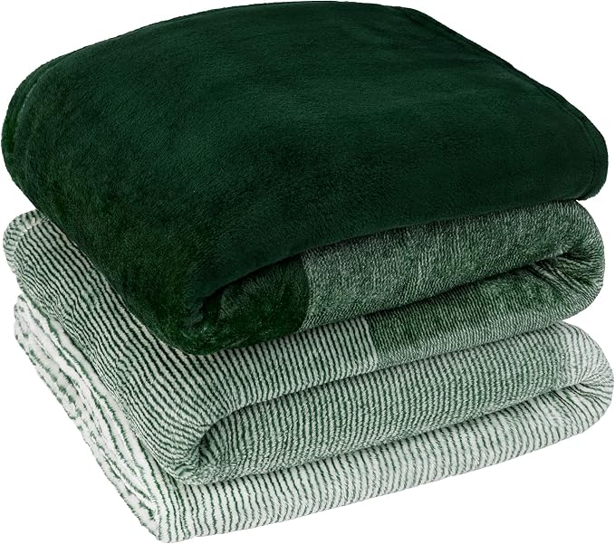 PAVILIA Green Ombre Fleece Throw Blanket for Couch Sofa Bed, 50x60 | Gradient, Soft Plush Flannel Fleece, Lightweight Accent Blanket, Warm All Season, Machine Washable, Cozy Decor Gift