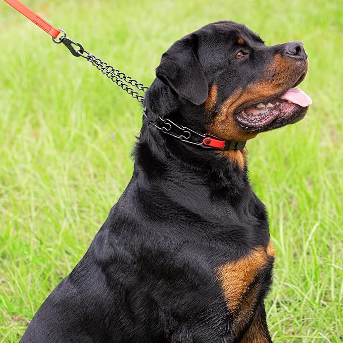 Herm Sprenger Black Stainless Steel Dog Collar with Quick Release ClicLock Buckle O-Ring Biothane Insert Training Collar Made in Germany (Cherry Red, 23in x 3.2mm(Neck Size up to19-20in))