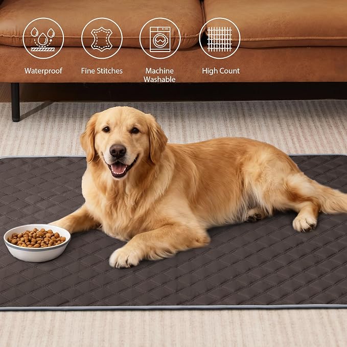 Eterish Reusable Washable Pee Pads for Dogs Large/Extra Large 36'' x 41'' 2 Pack, Absorbent Pet Puppy Dog Training Pads Non-Slip, Waterproof Whelping Potty Pads for Dogs Leak-Proof
