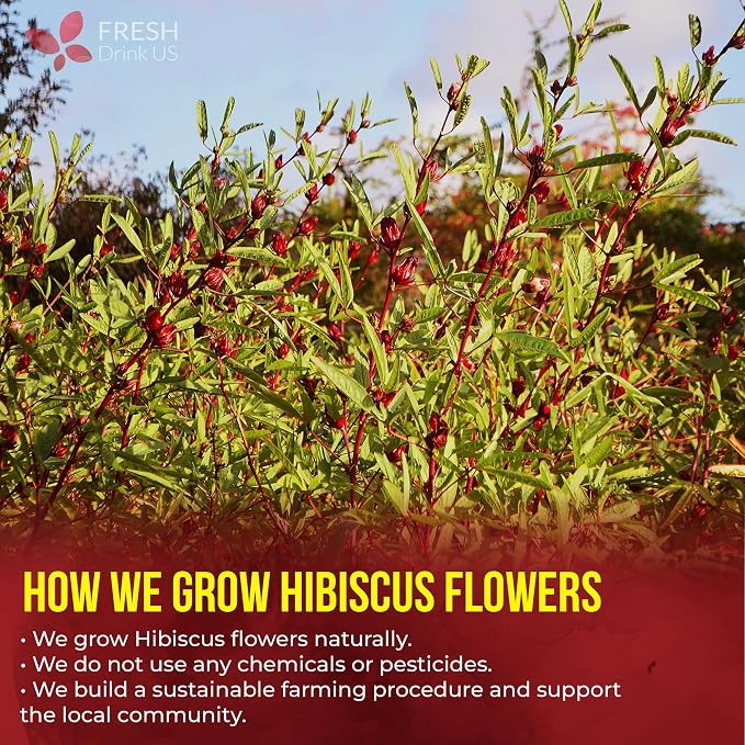 FreshDrinkUS, Premium 235 Hibiscus Flowers Tea Bags, 100% Natural, Pure from Hibiscus Flowers. Loose Flower Herbal Tea. No Sugar, No Caffeine, No Gluten, Vegan.