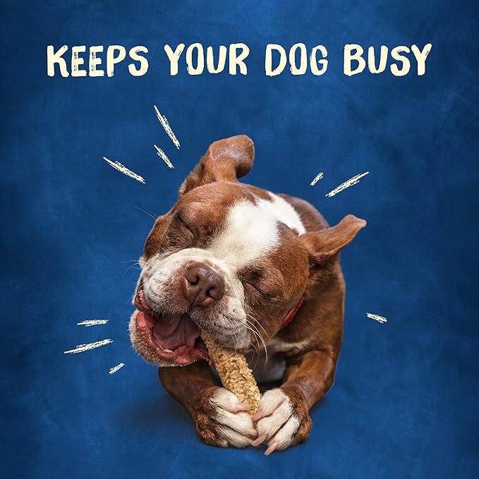 Purina Busy Rawhide Small/Medium Breed Dog Bones, Chewnola with Oats & Brown Rice - (Pack of 12) 2 ct. Pouches | Three-layer dog treat made with wholesome grains and a real beefhide center, long-lasting chew that helps clean teeth