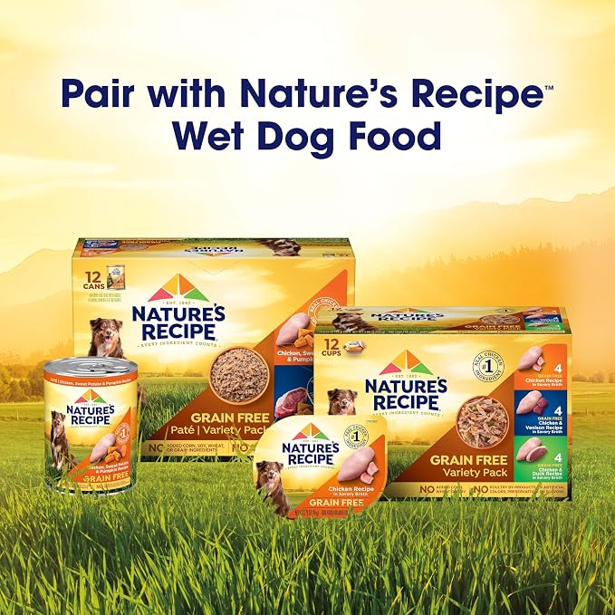 Nature's Recipe Grain Free Dry Dog Food, Salmon, Sweet Potato & Pumpkin Recipe, 12 lb. Bag | Fiber From Sweet Potatoes & Pumpkin Helps Support Digestion and Immune System Health