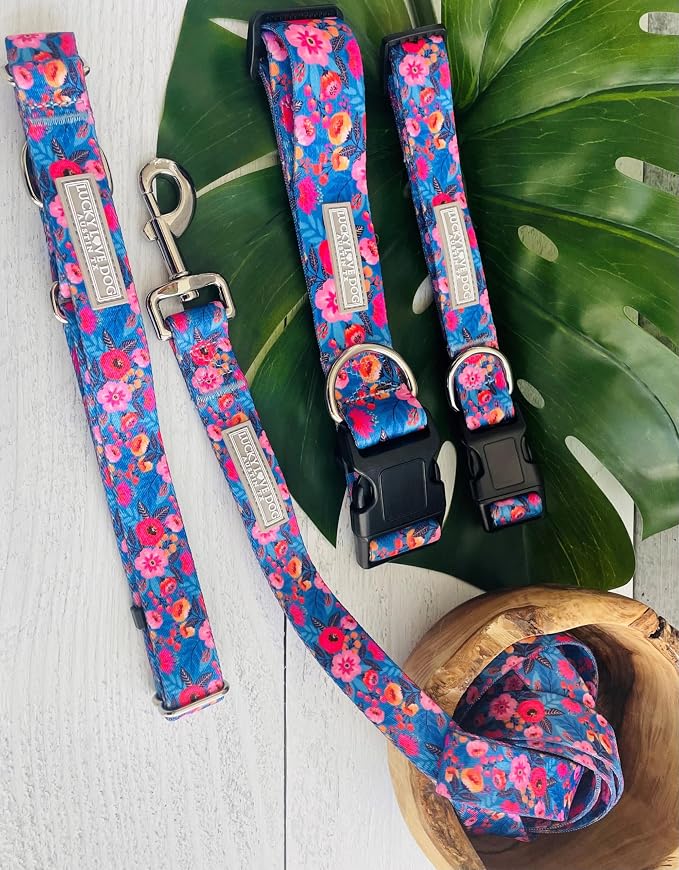 Lucky Love Dog Martingale Collar for Large Dogs No Slip Cute – Zuzu, Large