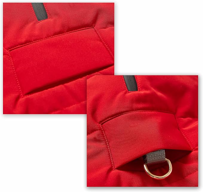 Blueberry Pet Waterproof Windproof Winter Dog Coat – Cozy Quilted Puffer Jacket for Small Dogs, True Red, Size 12" (13 3/4" Back Length)