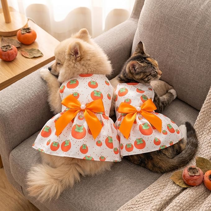 4 Pcs Dog Dress Cute Cat Dress Puppy Skirt Summer Dog Clothes Pet Clothes Girl for Puppy Small Cats