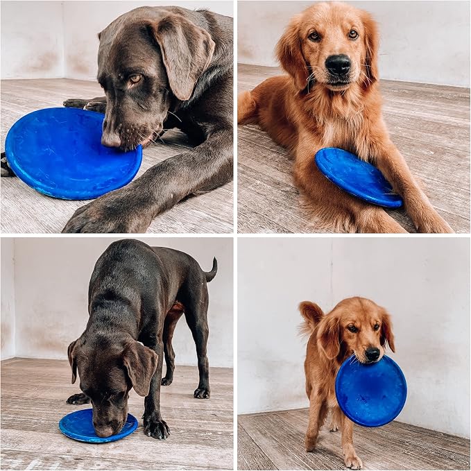 SuperChewer Tough Flying Disc Toy | Lifetime Replacement | Strong Natural Rubber | Great Dog Fetch Toys | Rubber Disc Toy for Dogs | Ultra Durable Chew Toys for Aggressive Chewers | for All Breeds
