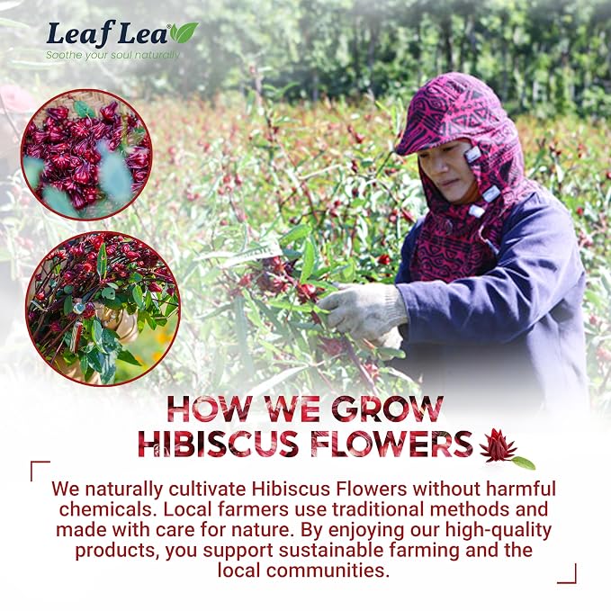LeafLea Premium Hibiscus Flowers Tea Bags, Rich Flavor & Color, 240 Count | 100% Natural Hibiscus Flower Herbal Tea, Te De Hibisco, Jamaica Tea, Caffeine-Free, Sugar-Free, Non-GMO, 6 Pack