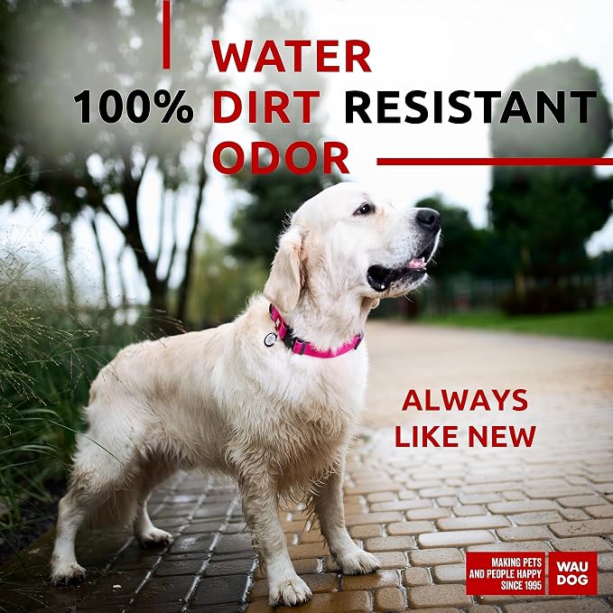 WAUDOG Waterproof Dog Collar Airtag Holder QR Tag Small Medium Large Dogs | Water and Dirt Resistant, Quick Dry QR Pet Tag Adjustable Durable Comfort for Male and Female Dogs Outdoor Walking Training