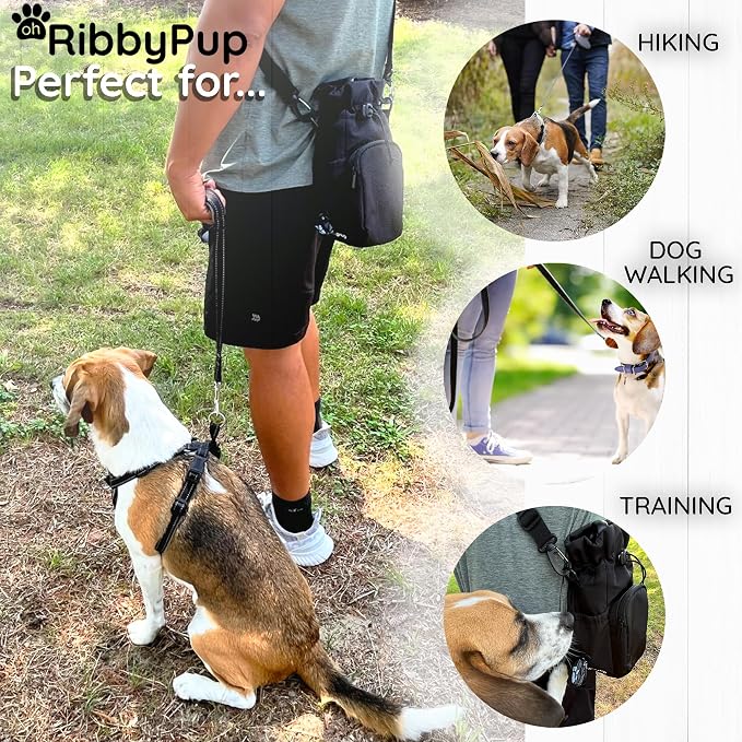 Waterproof Dog Walking Bag with Universal Water Bottle Holder, Built in Poop Bag Dispenser, Unisex Cross Body Treat Pouch for Hiking Training Sport (Gray)