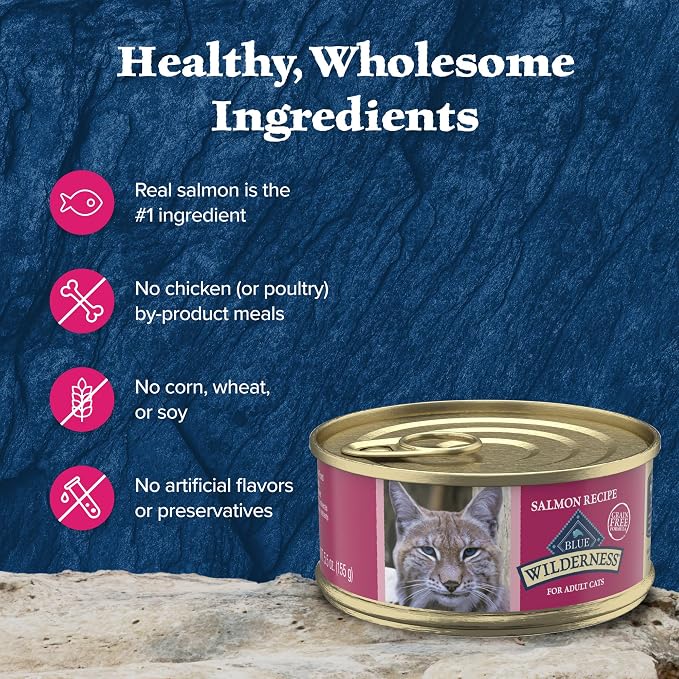 Blue Buffalo Wilderness Salmon Paté Adult Wet Cat Food, 5.5 oz, 24 ct | Real Salmon #1 Ingredients, High Protein & Grain-Free Recipes, Supports Energy for an Active Life