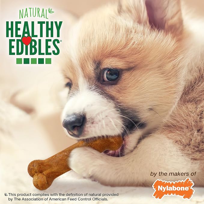 Nylabone Healthy Edibles Puppy Dog Treats, 16 Count | Turkey & sweet potato flavor, natural puppy treats, USA made, highly digestible, small dog treats for puppies up to 15 lbs