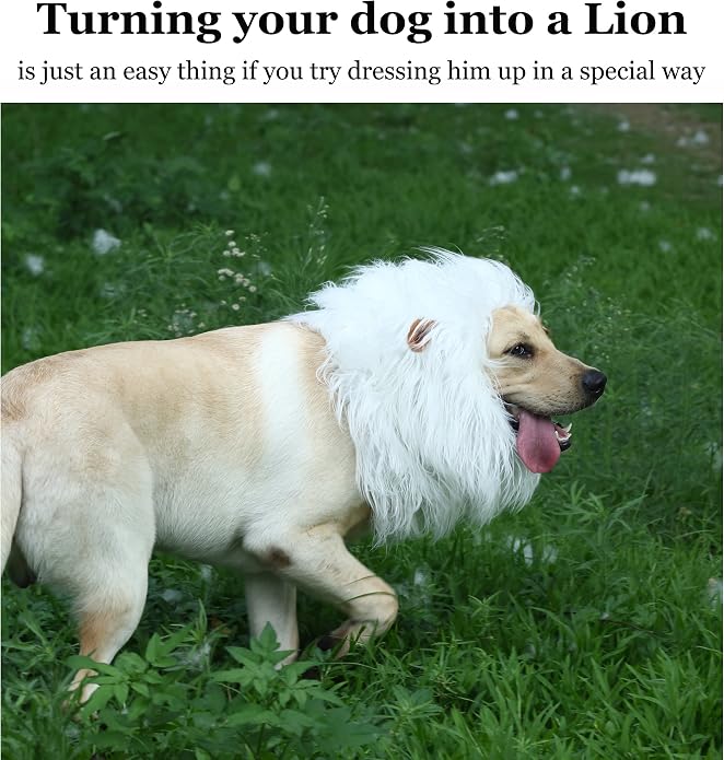 Lion Mane Wig for Dogs with Ears, Funny Pet Costumes for Halloween Christmas
