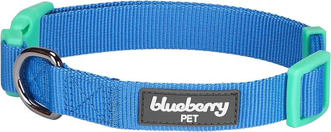 Blueberry Pet Laid Back Weekender Club Blue Cotton Blend Neckerchief Scarf Bandana Adjustable Dog Collar, Small, Neck 12"-16"