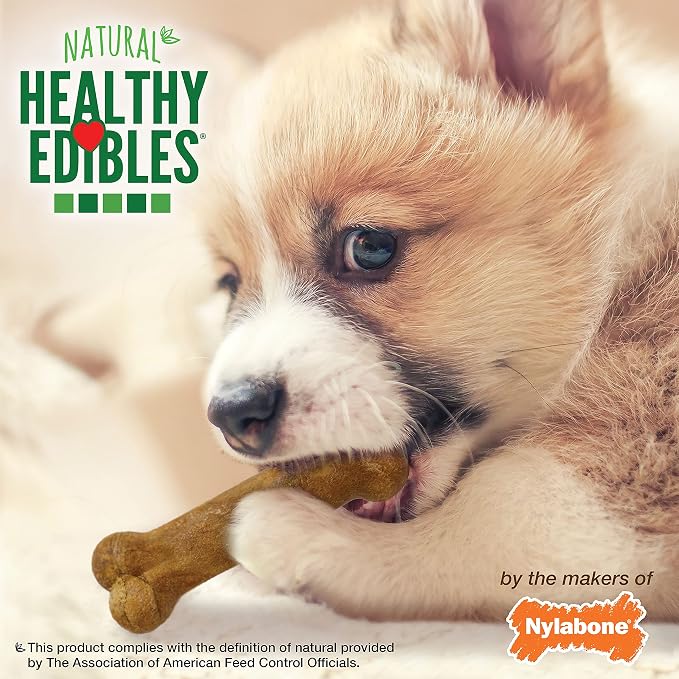 Nylabone Healthy Edibles Puppy Dog Treats, Lamb & Apple Flavor, 8 Count | Natural puppy treats, USA made, highly digestible, vet recommended, long lasting, small dog treats for puppies up to 15 lbs