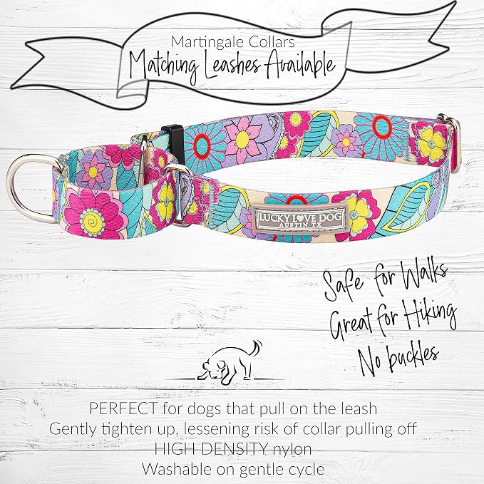 Lucky Love Dog Martingale Collar & Leash Set No Slip Cute – Caroline, Small
