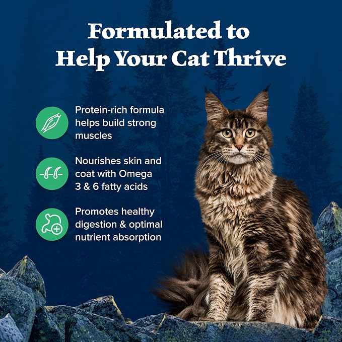 Blue Buffalo Wilderness Duck Adult Dry Cat Food, Grain-Free, 5 lb | Real Duck #1 Ingredient, High Protein & Grain-Free Recipe, Supports Immunity with Antioxidant-Rich LifeSource Bits