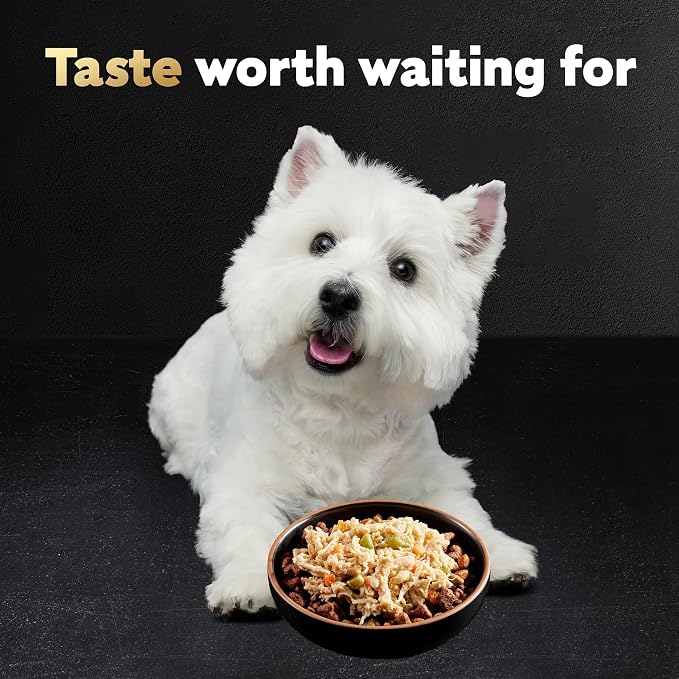 Cesar Wholesome Bowls Wet Dog Food, Chicken & Apple, 3 oz, 10 Count | Real chicken #1 ingredient, slow-cooked, 9 key ingredients, no by-products or artificial flavors, easy to digest