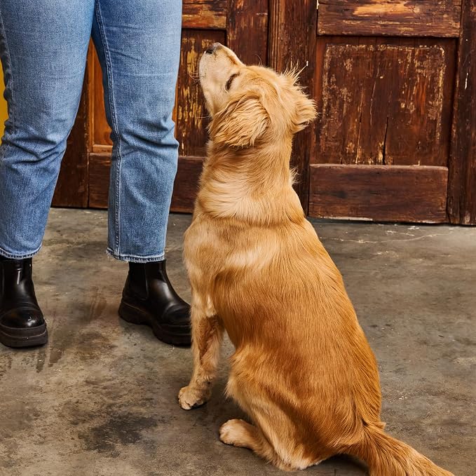 Bocce's Bakery Bac'n Nutty Dog Training Treats Bundle, PB & Bacon (2 Pack) | Oven Baked, Wheat-Free Everyday Dog Treat Cookies - Made with Real, Limited Ingredients and Baked in The USA