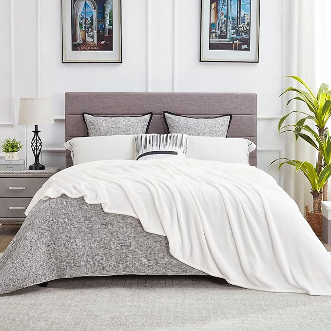 DREAMNINE Oversized Soft Fuzzy Fleece Throw Blanket Twin Size 60" x 80", Decorative Large Solid Lightweight Velvet Bed Blankets,Big Cute Cozy Accent Shaggy Microfiber Flannel Blanket for Bedroom,White