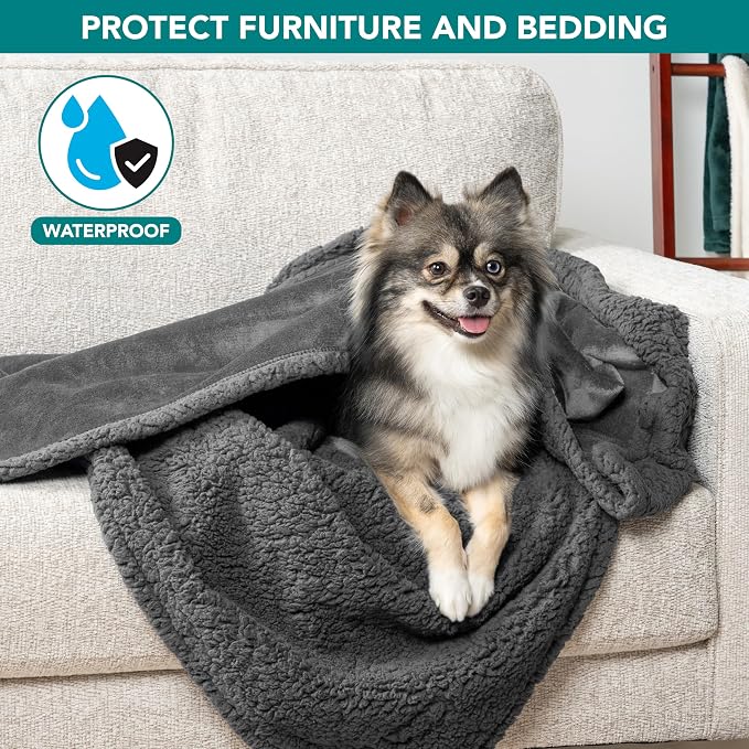 PetAmi Waterproof Dog Blanket for Small Dog Puppy Cat, 29x40, Dark Grey | 460 GSM Sherpa Fleece Reversible, Pee Proof Pet Blanket, Furniture Protector Cover for Couch Sofa Kennel, Washable