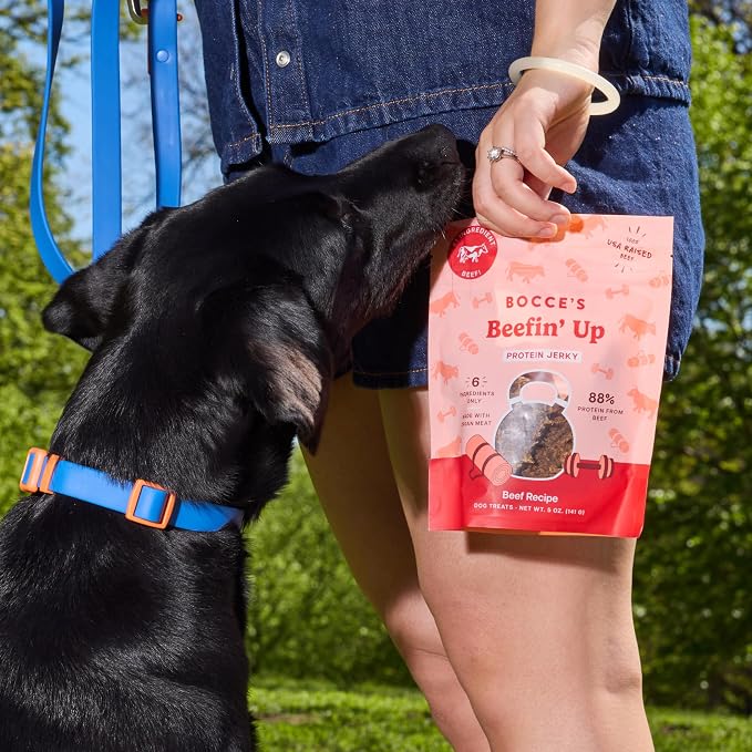 Bocce's Bakery Beefin' Up Protein Jerky Dog Treats, Beef (5 oz) | High-Protein, Wheat-Free, Limited-Ingredient Treats with No Added Salt or Sugar - Baked in The USA