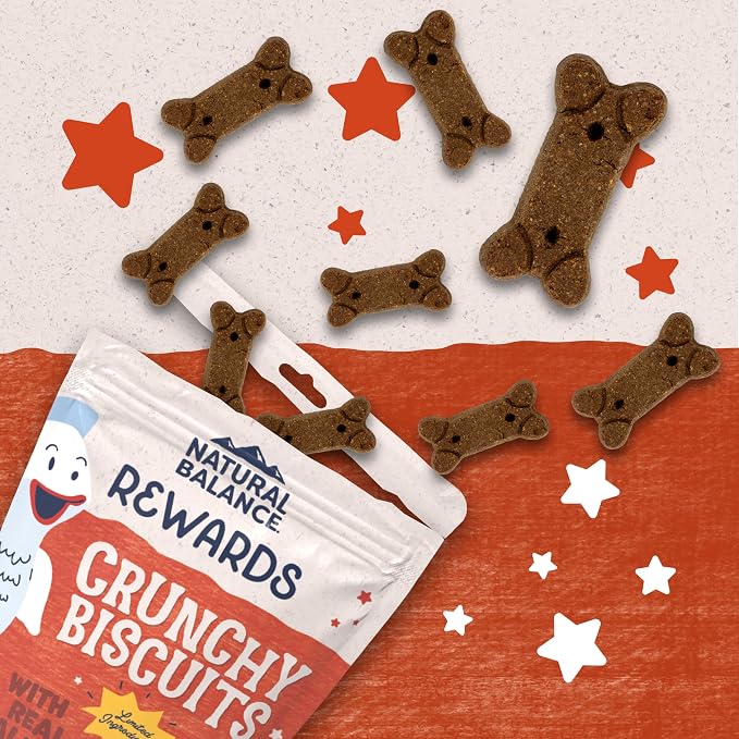 Natural Balance Rewards, Crunchy Biscuits, Salmon, 14 oz | Grain-Free Dog Treats for Adult Dogs, Limited-Ingredient Recipe, Made with Real Ingredients, Great for Training
