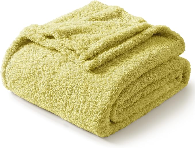 Exclusivo Mezcla Fleece Bed Blankets Queen Size for Bed, 90" x 90" | Super Soft and Cozy Fluffy Blanket for Women, Lightweight and Fuzzy Bedding for Bedroom , All Season, Light Green