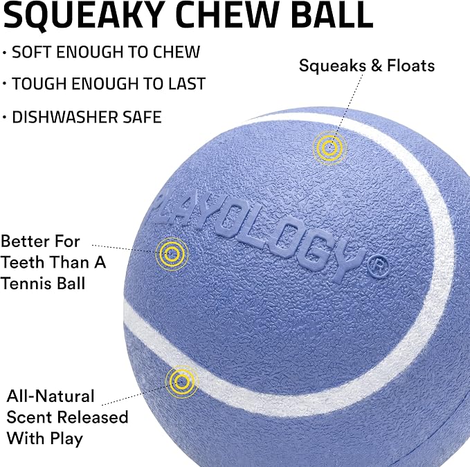 Playology Squeaky Chew Ball Dog Toy - Jumbo, Blueberry Scent