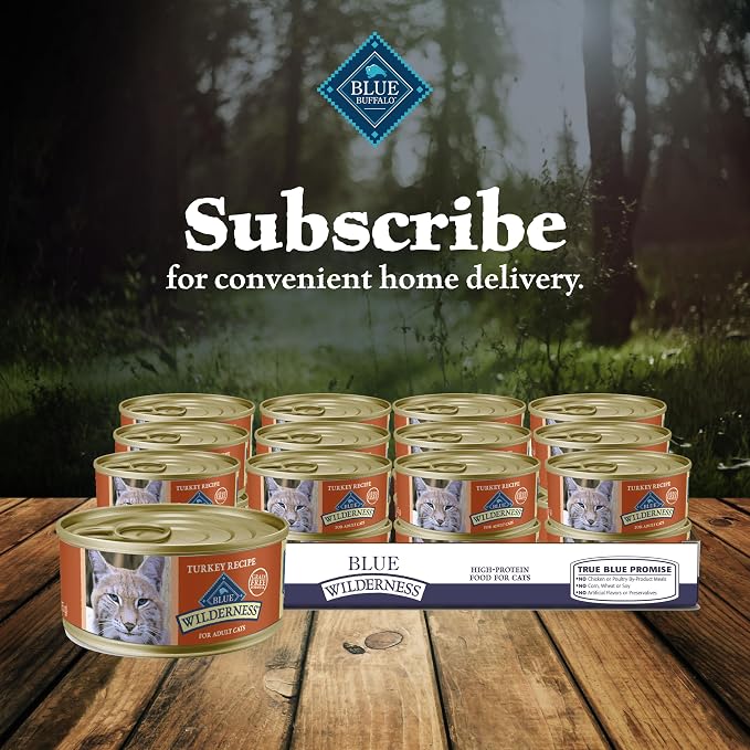 Blue Buffalo Wilderness Turkey Paté Adult Wet Cat Food, 5.5 oz, 24 ct | Real Turkey #1 Ingredients, High Protein & Grain-Free Recipes, Supports Energy for an Active Life