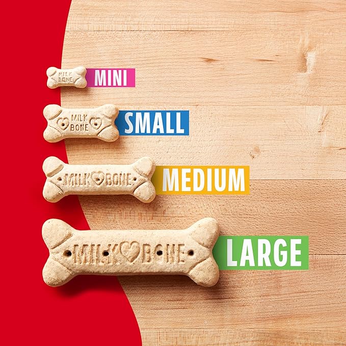 Milk-Bone Original Medium Dog Biscuits, 10 lb Box | 280+ treats, classic meaty taste, crunchy dog treats for dogs 20-50lbs, 15% protein, 12 vitamins & minerals, made in the USA