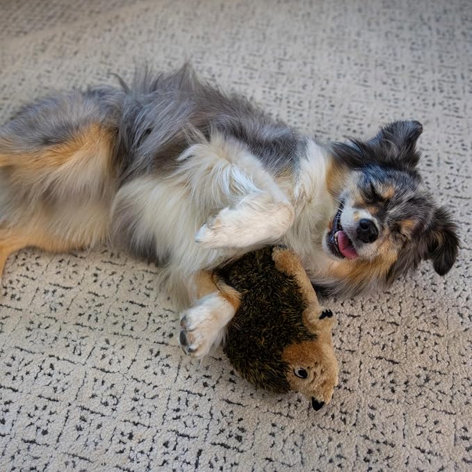Outward Hound Hedgehogz Plush Dog Toy, Squeaks & Grunts, Medium, 9" x 6.5" | Soft Realistic Faux Fur, Round for Rolling & Chasing, Cuddle & Carry, Interactive Fetch, Light Chewers, Dogs & Puppies