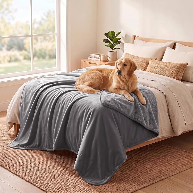 Waterproof Blanket - Reversible Dog Throw as Furniture Protector | Soft Velvet & Flannel, TPU Leak-Proof Liner, Machine Washable, Fits Couch and Bed, 82" x 120", Lightgrey/Darkgrey