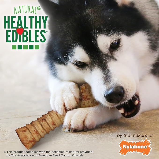 Nylabone Healthy Edibles Dog Treats, Turkey & Apple Flavor, X-Large | Natural dog chews, occupying & long lasting dog treats, made in the USA, with real turkey, dog bones for large dogs 50+ lbs