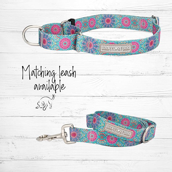 Lucky Love Dog Martingale Collar for Small Dogs No Slip Cute – Clara, Small