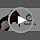 Shock Collar for 3 Dogs, Beep & Safe Shock, Vibration/Light, IPX8