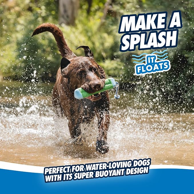 Chuckit! Amphibious Bumper Fetch Stick Toy for Dogs-Floats in Water-Interactive Dog Toys to Keep Them Busy-Tough Rubber,Nylon & Foam - Non-Slip Rope Handle - Assorted Colors, Medium (Pack of 12)
