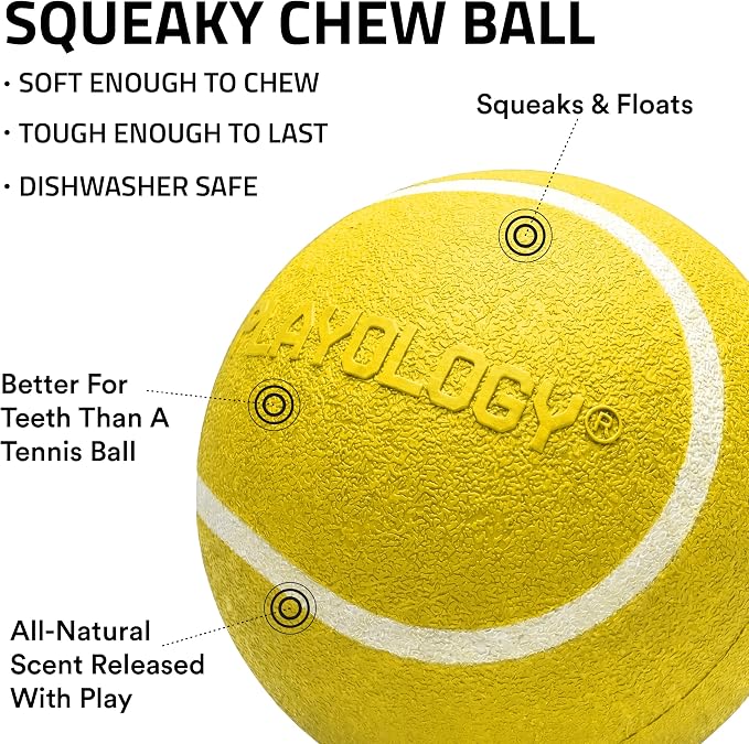 Playology Squeaky Chew Ball Dog Toy - Small, Chicken Scent, 3-Pack