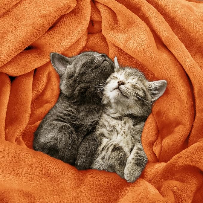 Utopia Bedding Soft Fleece Bed Blanket Queen Size Burnt Orange (90x90 Inch) | Microfiber Plush Warm Lightweight Breathable Cozy Blanket Anti-Static, All Season Use, Gift for Women and Men