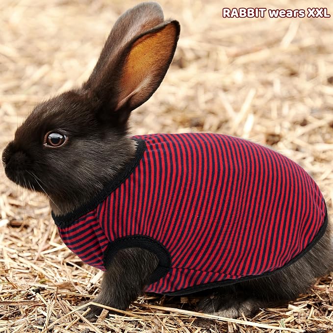 Guinea Pig Clothes (2-Pack), Striped Small Animal Vest T-Shirt | Soft Breathable Small Pet Apparel & Costume for Rat, Guinea Pig, Rabbit, Chinchilla, Ferret, Kitten