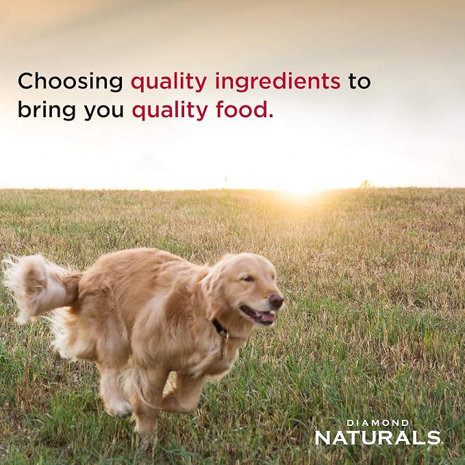 Diamond Naturals Skin & Coat Puppy, Adult & Senior Dry Dog Food Salmon 15lb | Real Salmon & Potato | Omega Fatty Acids Help Support Healthy Skin & Shiny Coat | Guaranteed Probiotics & Superfoods