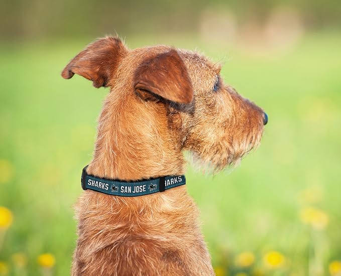 Pets First NHL Collar for Dogs & Cats. Adjustable, Cute, & Stylish! The Ultimate Hockey Fan Collar!