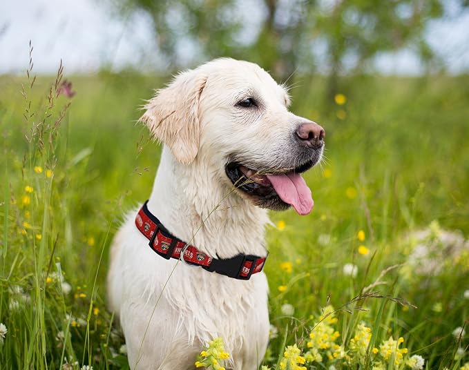 Pets First NHL Collar for Dogs & Cats. Adjustable, Cute, & Stylish! The Ultimate Hockey Fan Collar!