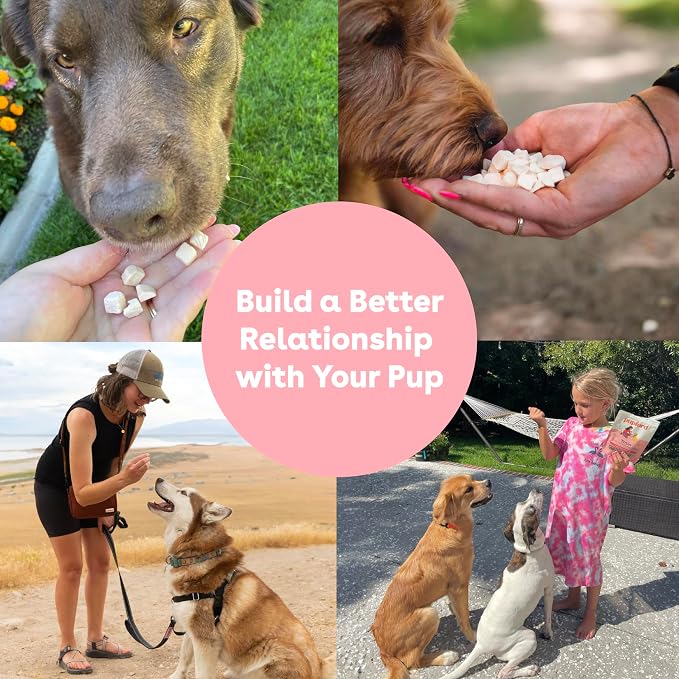 Pupford Freeze Dried Dog & Puppy Training Treats (Sweet Potato, 4 oz, 3 Pk) | 1400+ treats, Ultra low-calorie, Only 1 ingredient, All breed sizes, Mess free and bite sized, Trainer recommended