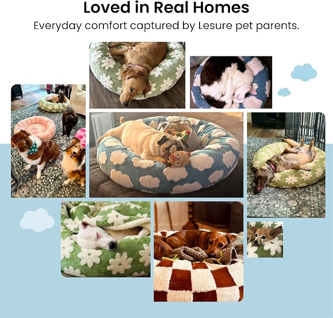 LE SURE Shown on TV Jacquard Donut Cute Cat Beds Indoor,Green 20x20x6in | Orthopedic Calming Small Dog Bed,Original Design Pattern,Washable Cover, Home Decor as Gift for Pet,Anti Slip Bottom